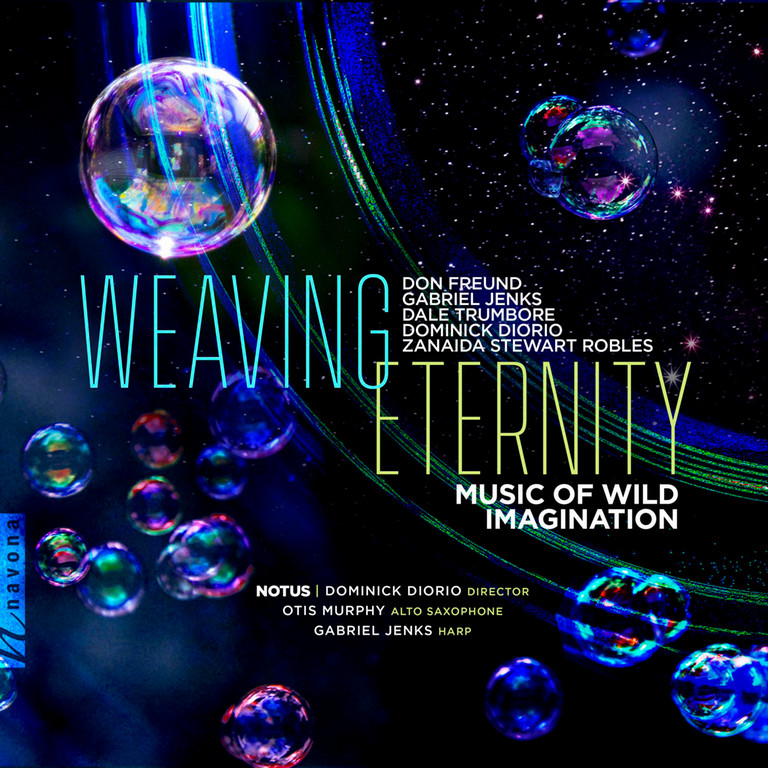 Weaving Eternity: Music of Wild Imagination album cover